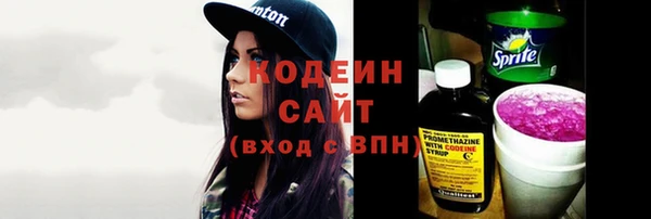 соль ск Дмитров