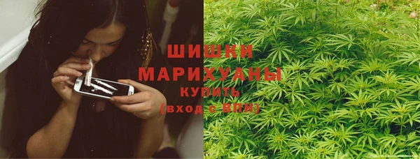 соль ск Дмитров