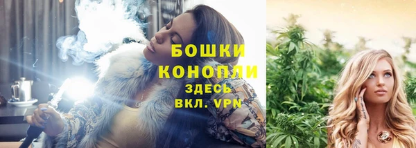 соль ск Дмитров
